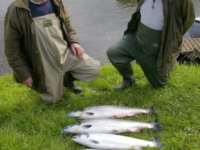 We Smoke Fishermen’s Fish