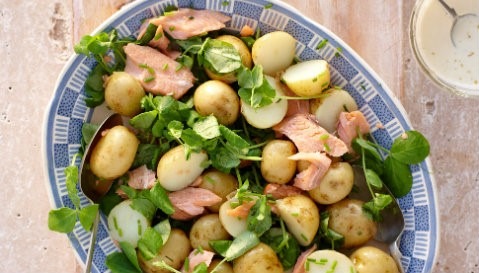 Smoked Trout Potato Salad with Lemon Aioli Recipe