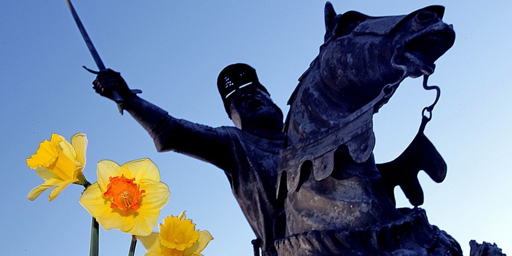 st davids day celebration daffodils