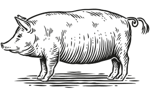 ham-bacon-cured-meats Ham, Bacon & Cured Meats