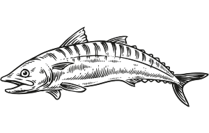 oak-smoked-fish Oak Smoked Fish