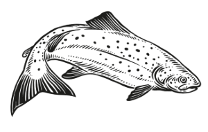 oak-smoked-salmon Oak Smoked Salmon