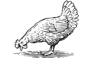 oak-smoked-duck-and-chicken Smoked Duck & Chicken