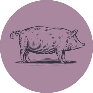 HAM-Category Icon Smoked Ham, Bacon and Cured Meats