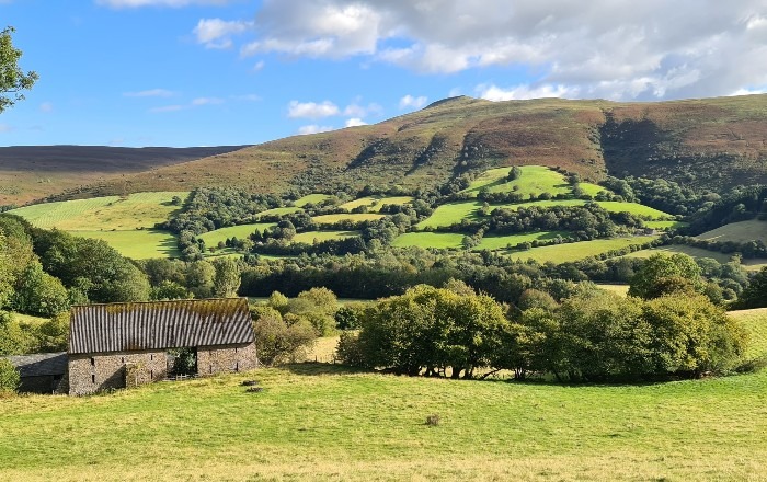 local-inspiration-sugarloaf-view Local Inspiration- Sugarloaf view