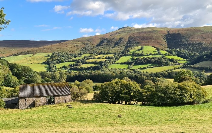 Local Inspiration- Sugarloaf view