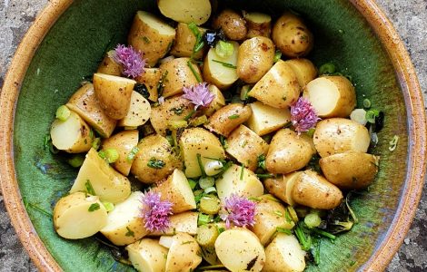 Smokey Jo’s Versatile Potato Salad Recipe