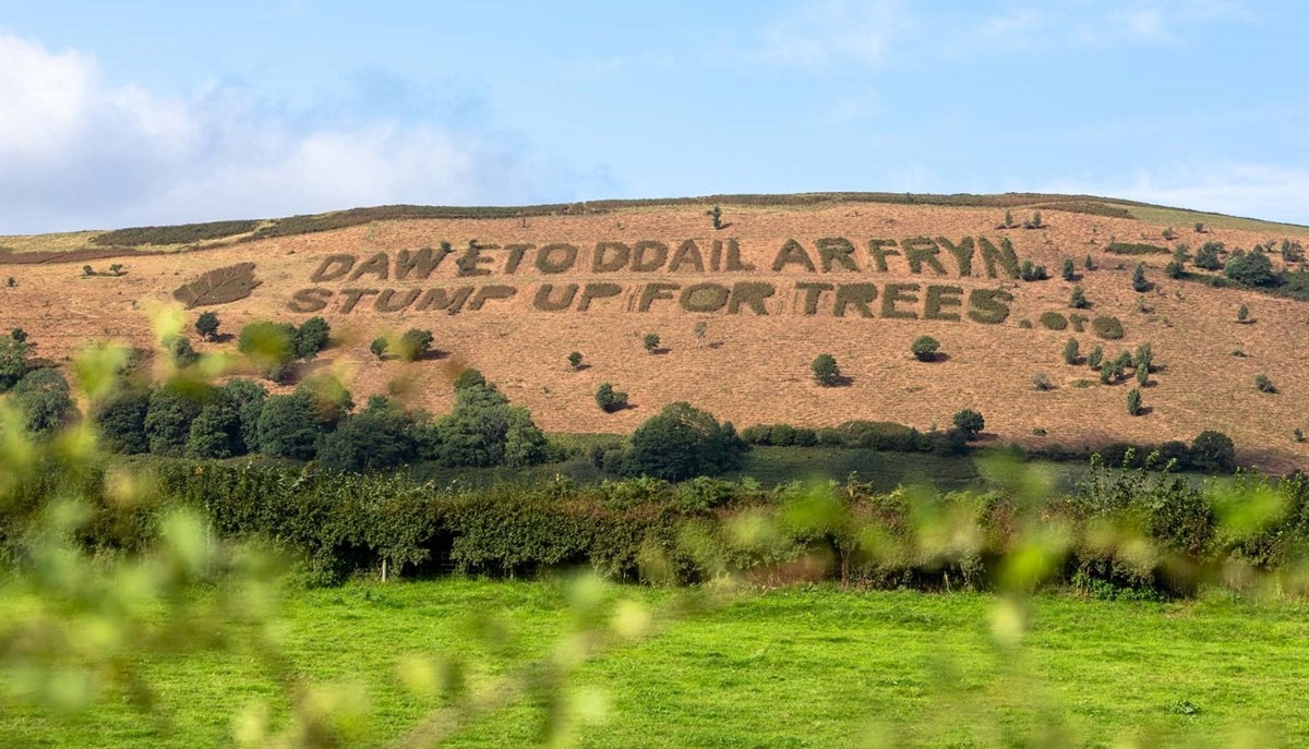 Stump Up For Trees: Recap Of The Year Bryn Awr Tree Planting Billboard