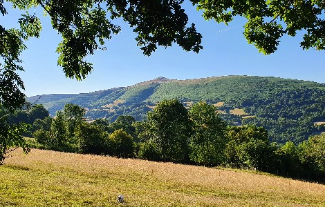 Black Mountains Smokery Out in the Wilds of Wales