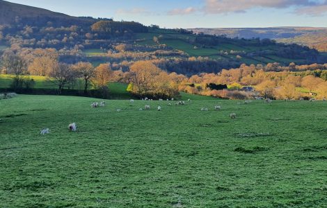 Autumn Days at Black Mountains Smokery