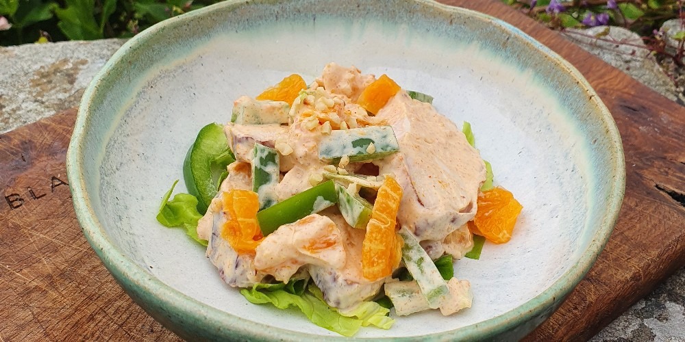 smoked chicken and orange salad