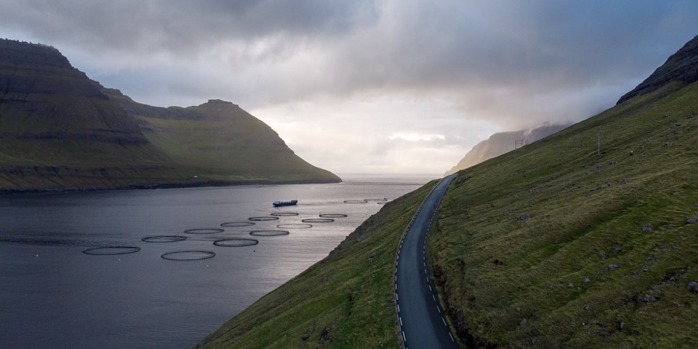 Where do we source our salmon ? Salmon Farm 