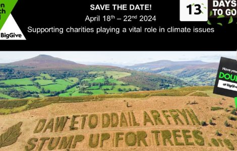 Planting Trees To Offset Carbon Footprint