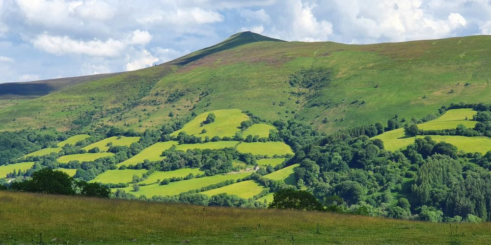 Suager Loaf at Springtime